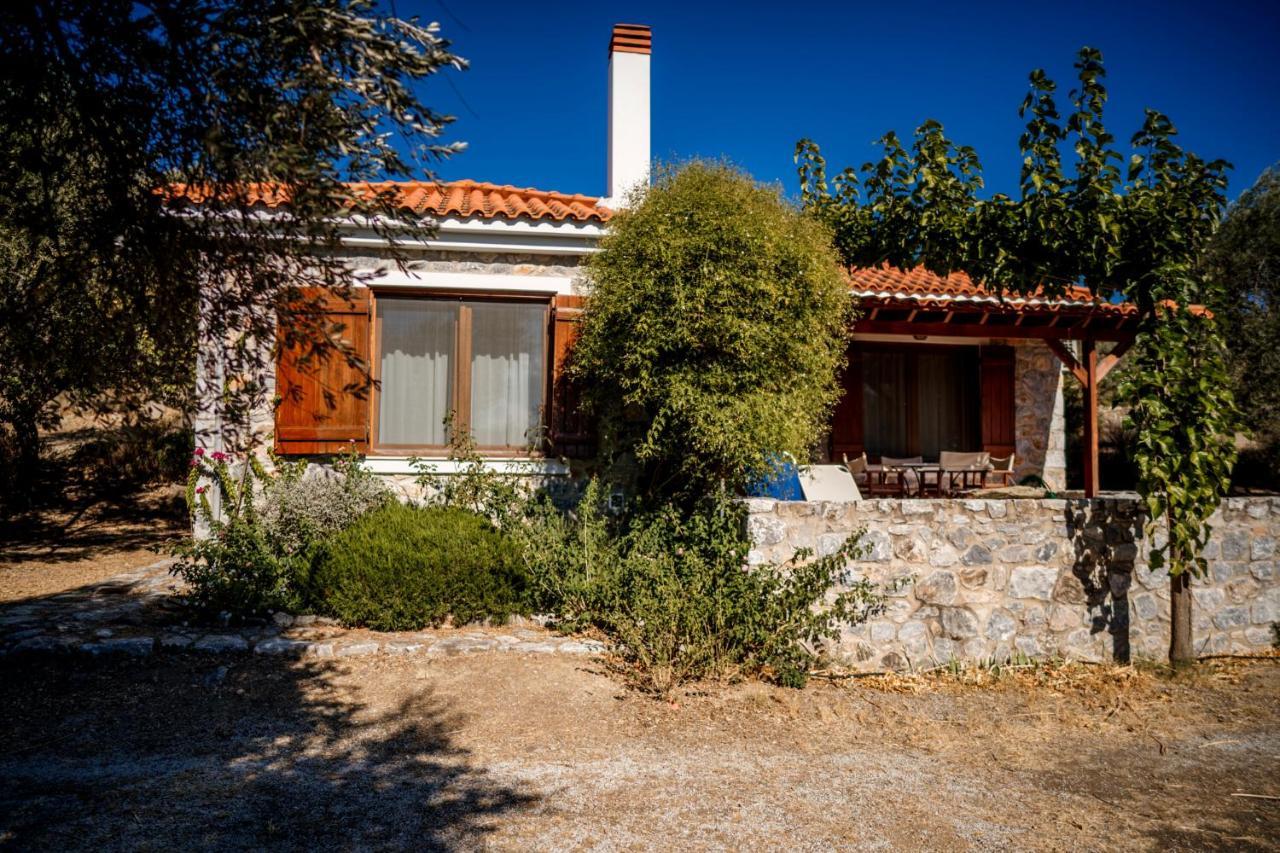 Traditional Architecture Seafront Stone House In 25000Sqm Olive Grove - C Villa Alyfanta Exterior photo